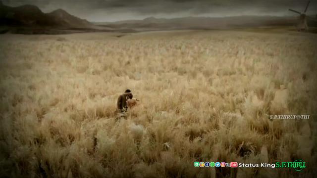 Love Status Pogathadi En Penne Love Status Helo love status pogathadi en penne love status helo