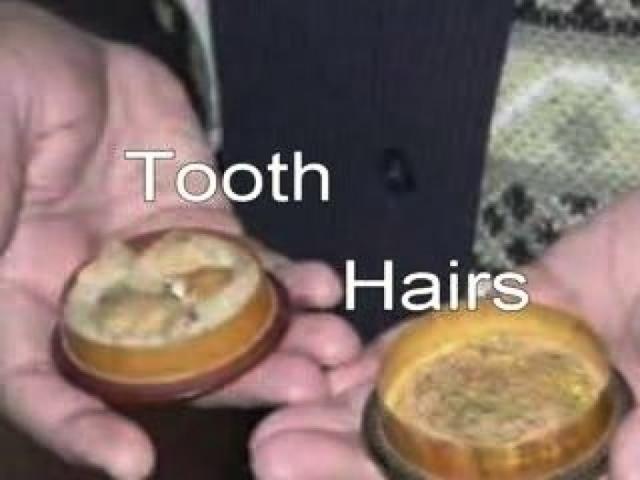 Inilah Barang-barang Peninggalan Nabi Muhammad SAW, Menggetarkan Hati