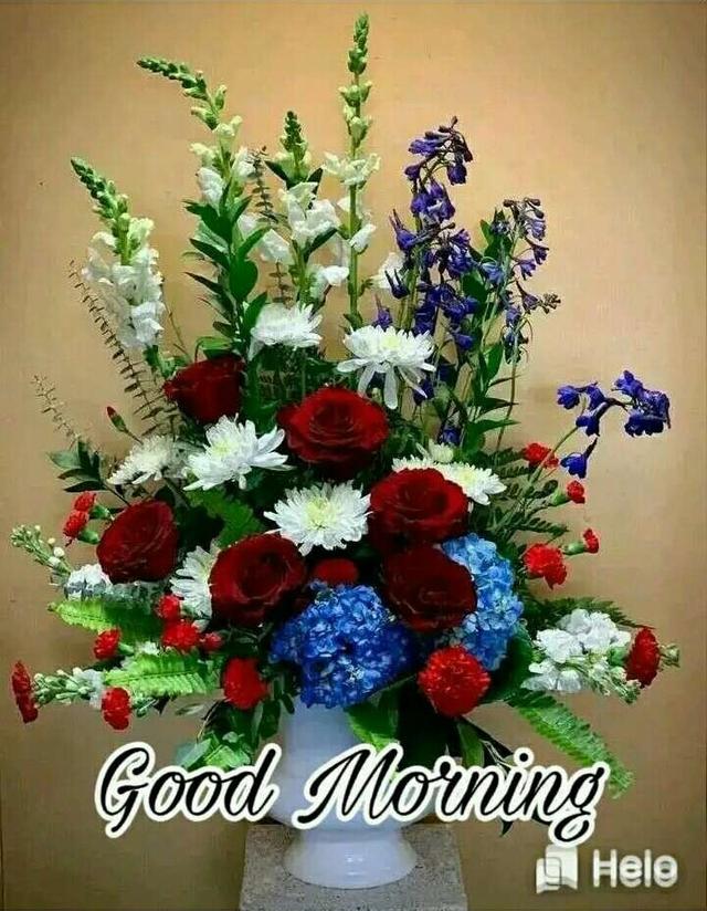 Helo Odia Official Hii Friends Good Morning Helo India